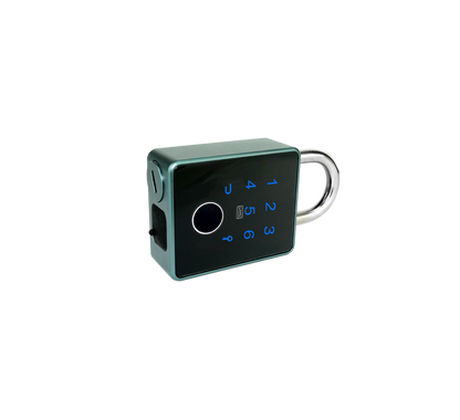 Gardi Padlock